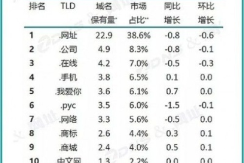 探索域名PUBLICCSHNCN背后的故事，从最高层域名CN透视中国互联网的崛起