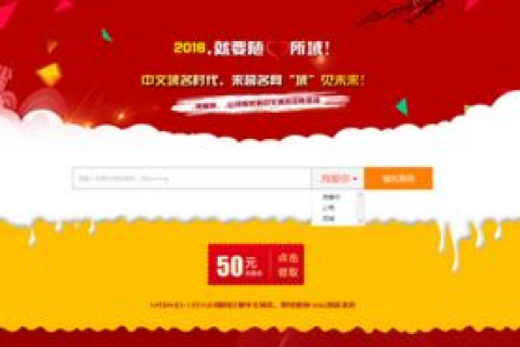 Top域名，现在正是抢购热潮！