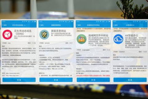 请问在国内注册的花生壳域名到香港可以用吗？