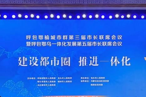 群网互联评测，追踪数字时代下的连接新维度
