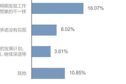 揭秘心仪数据评测，深度剖析数据背后的价值与市场前景