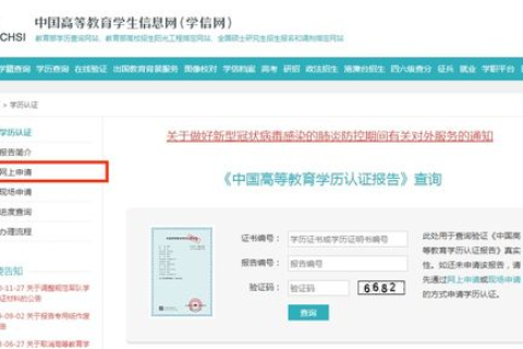 打造个人小站，从注册域名到内容建设的全面指南