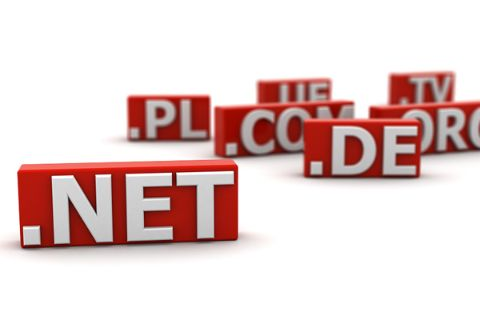 探讨.NET域名注册中的常见问题与解决方案