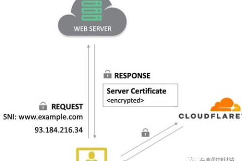 在Internet上已分配的IP地址所对应的域名可以是D，探索域名系统的奥秘