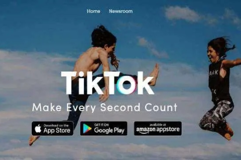 如何解析dottk申请的tk域名