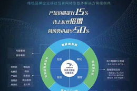 8A网络评测，深度剖析现代高速互联网的佼佼者