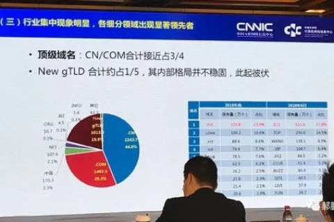 域名行业，现状、挑战与未来展望