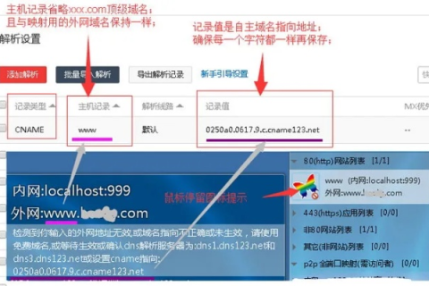 如何将域名导入已建好的网站，详细步骤与注意事项