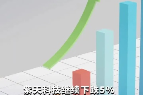 紫天数据评测，深度揭秘数字时代的信息利器