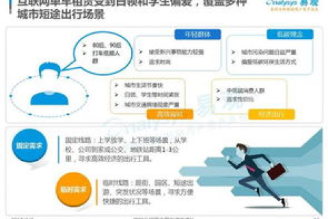 30互联评测，深度分析互联网服务平台的优势与挑战