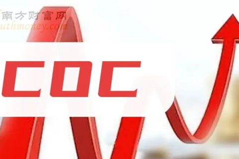 COCC域名怎么样？稳定性如何？