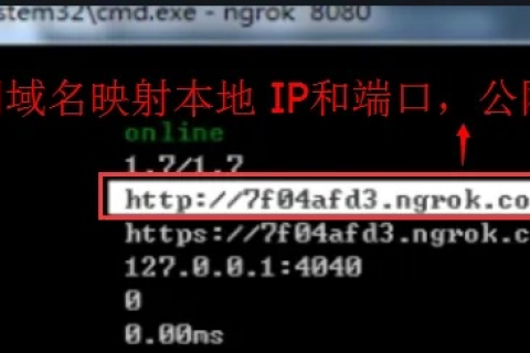 怎样把域名IP指向为IP，详细步骤与注意事项