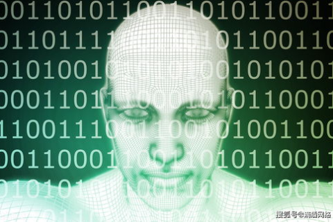 滴盾网络，安全守护，数字时代的网络安全解忧师