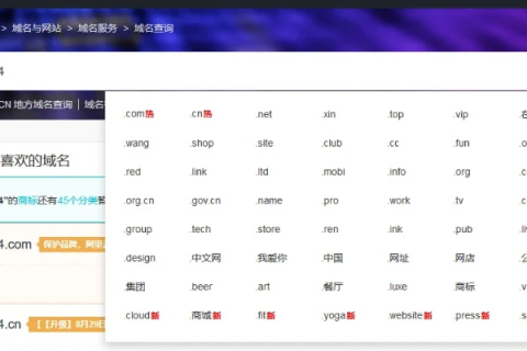 我有顶级域名，如何搭建网站并开放二级域名注册？