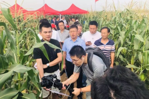 探秘玉米网，一个农业资讯平台的实践探索与应用心得