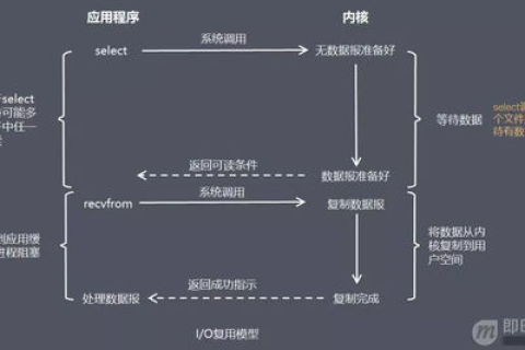 网络连通性之谜，能上网却Ping不通域名