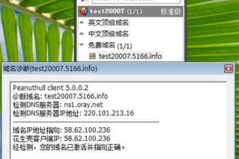 在XP系统上搭建WEB服务器（IIS）并使用花生壳域名发布个人网站