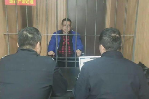 蒲公英网络，探索其应用体验与背后的故事