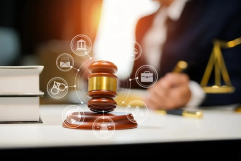 企业域名被使用了怎么办，应对策略与法律建议