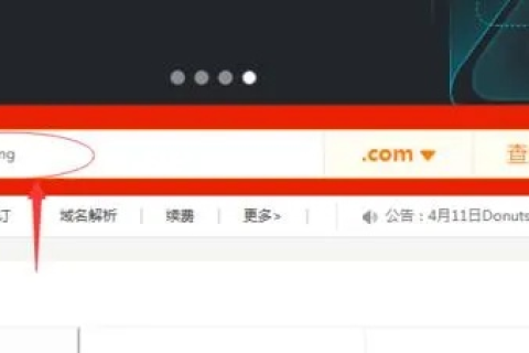 个人新注册CN域名受限，背后的原因与影响分析