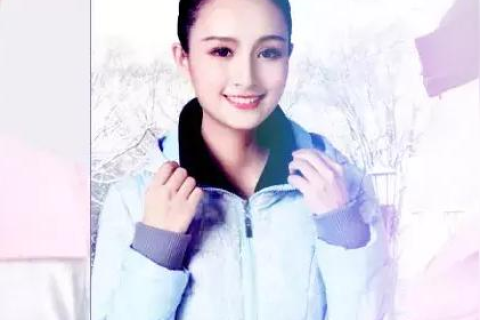 领网应用体验，亲测与解析