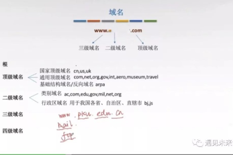 域名解析，深入解析与高效请教策略