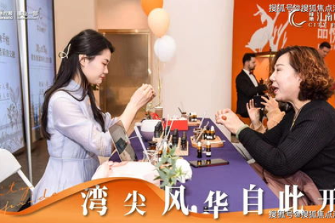 安徽傲龙网络使用体验，全面解析与深度评测