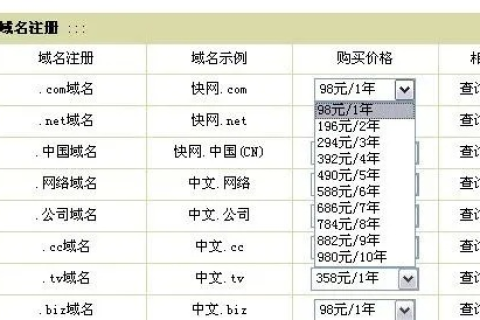 如何在预算有限的情况下选择比较便宜的域名