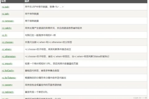 探索JSP空间网的应用与体验，一次技术爱好者的深度回顾