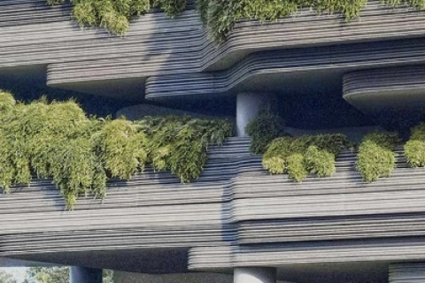 绿意生活，探索城市绿色空间的多样性与可持续性使用