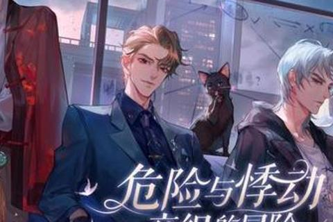 有过实际使用经验的中国双线网络技术分析及其意义