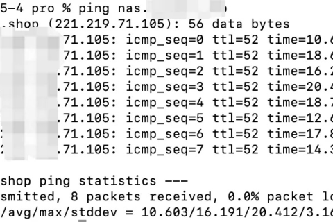 在Ping网关DNS和域名时出现了无资源问题，原因分析与解决策略