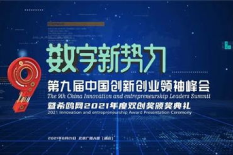 冷凯网络，解密其影响力与用户体验