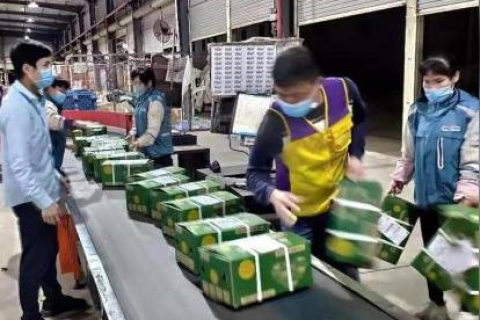 菜鸟指南，从零开始打造淘宝客网站
