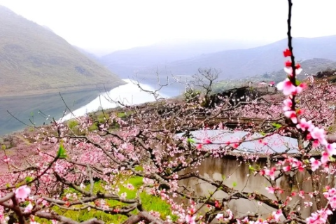 桃花岛，探寻桃花源记中的神秘岛屿