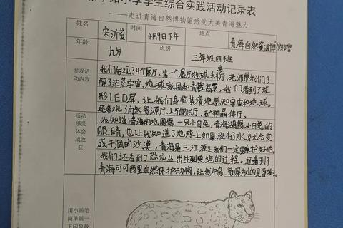 核心科技，从理论到实践，探索技术应用的无限可能