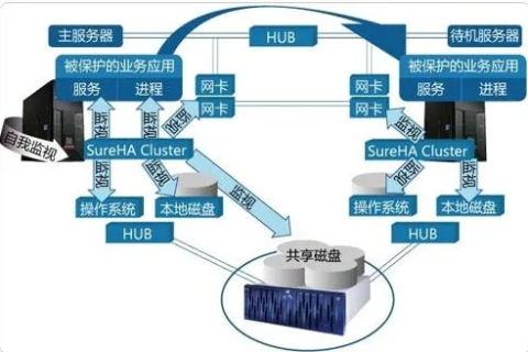 必度网主机与新网虚拟主机的关系探析
