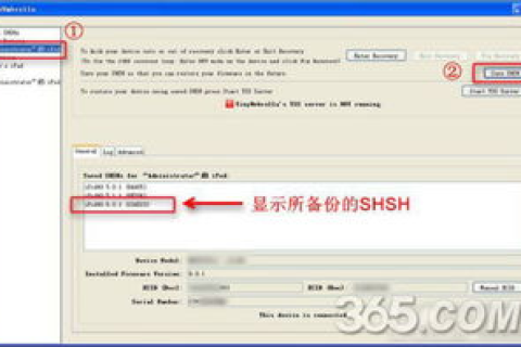 DocumentRoot C:xampp/htdocs