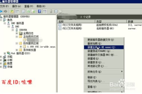 XP系统DNS域名解析设置详解