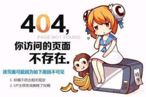 笨狗动漫为何突然无法访问？解析域名错误背后的原因