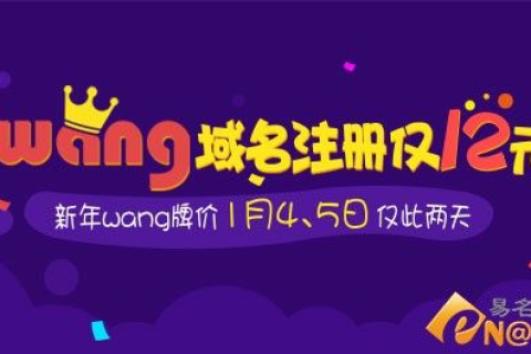 域名变迁史，探索wang的域名之前
