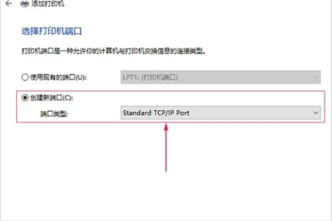 如何查看自己的外网域名