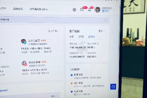久久商务网使用体验，深度剖析平台优缺点