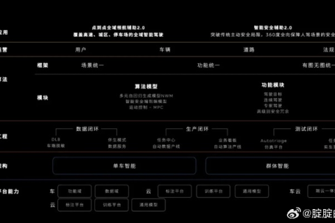 金豹网络，真实的用户体验与深度分析