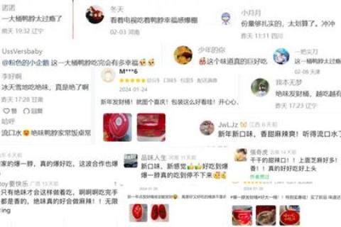 探索无限网，一个用户的真实体验与深入解析