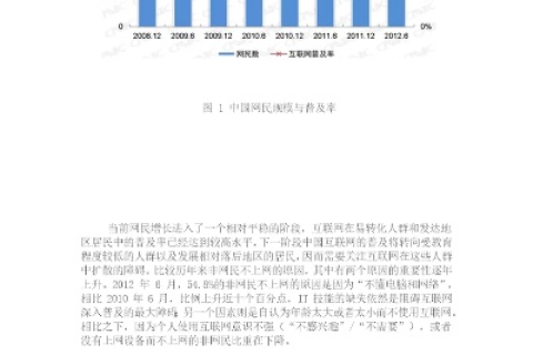 中国网络使用情况回顾与展望
