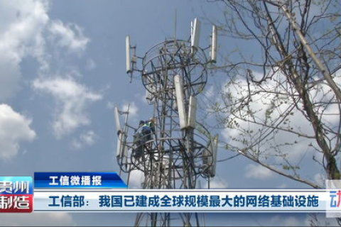 天信网络科技，搭建高效稳定的数字化转型桥梁