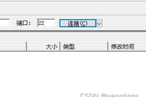 ServuFTP不能用域名访问，问题解析与解决方案
