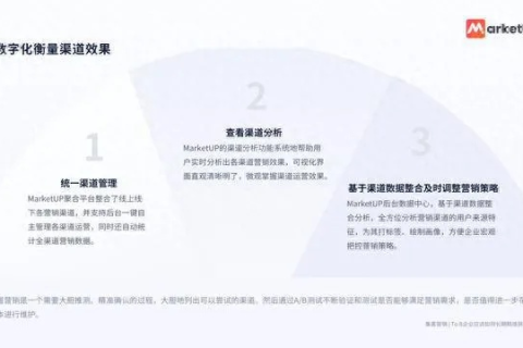 万维商务体验，成功案例背后的深度解析