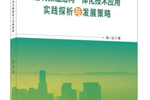 远景应用实例探析，从理论到实践的跨越